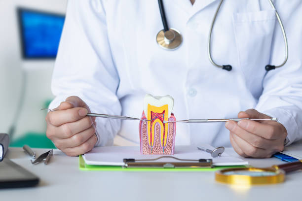 Best Emergency Treatment for Dental Infections or Abscesses in Sutton Alpine, AK